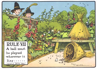 Rule VII: A ball must be played wherever it lies..., from 